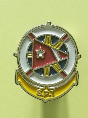 Pin's SPT